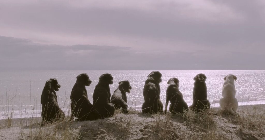 Immagine 2022-11-07 191957