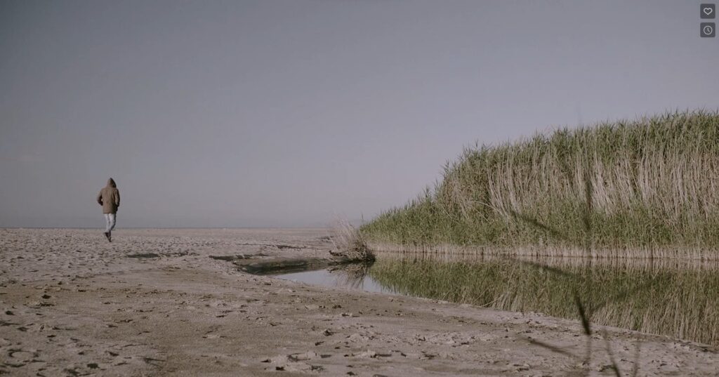 Immagine 2022-11-07 192233