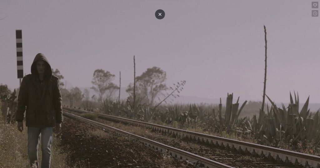 Immagine 2022-11-07 192308