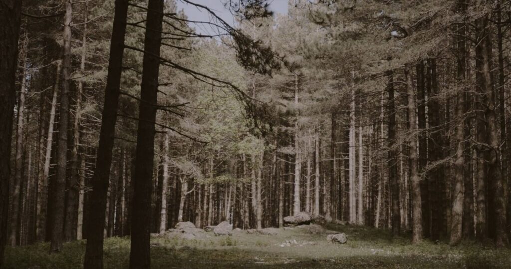 Immagine 2022-11-07 192958