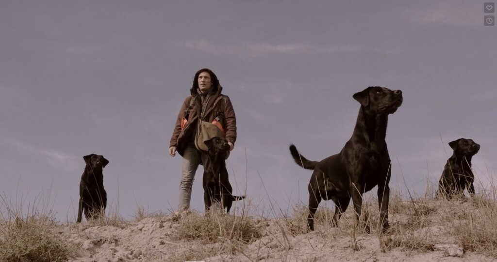 Immagine 2022-11-07 193225