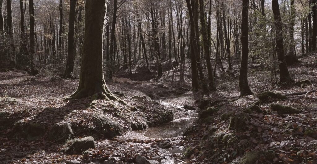 Immagine 2022-11-07 193338