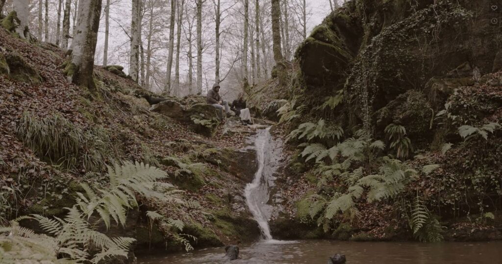 Immagine 2022-11-07 193607