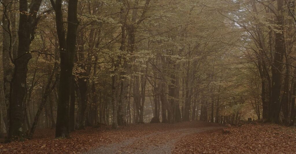 Immagine 2022-11-07 193650