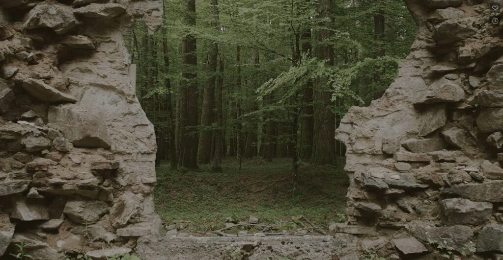 Immagine 2022-11-07 194518