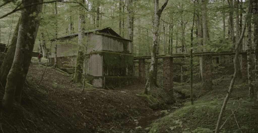 Immagine 2022-11-07 194543