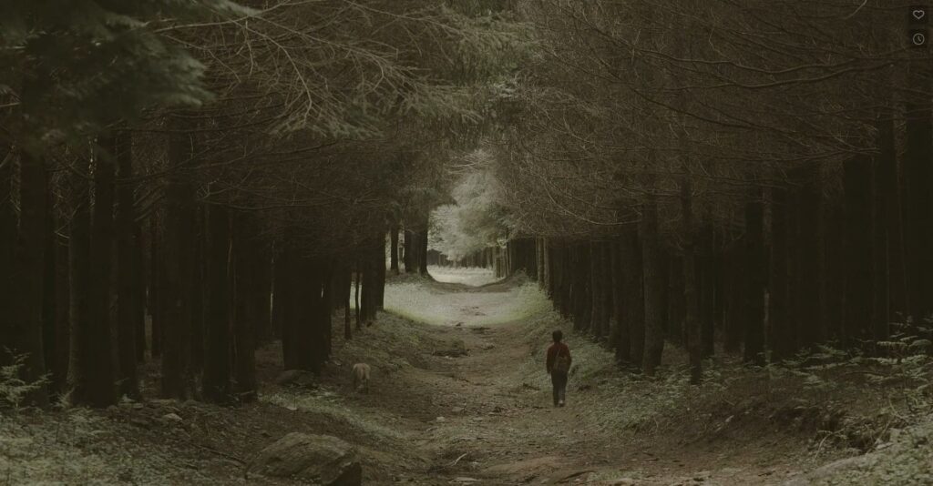 Immagine 2022-11-07 194713